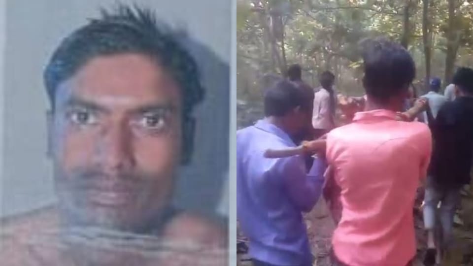 tiger kills man near forest in Lakhimpur Kheri