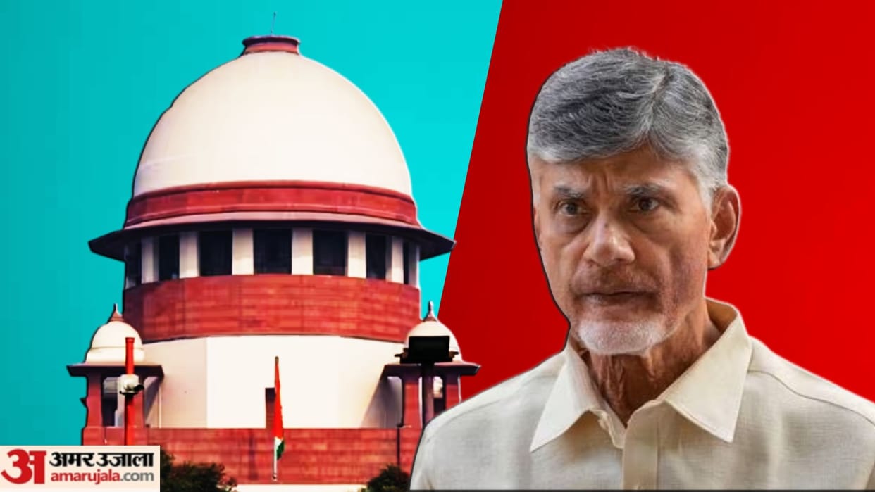 AP govt moves SC against bail to TDP chief Chandrababu Naidu