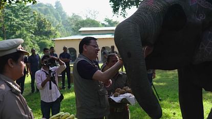 CM Pushkar Singh Dhami took safari in Jim Corbett Tiger Reserve Uttarakhand news in hindi