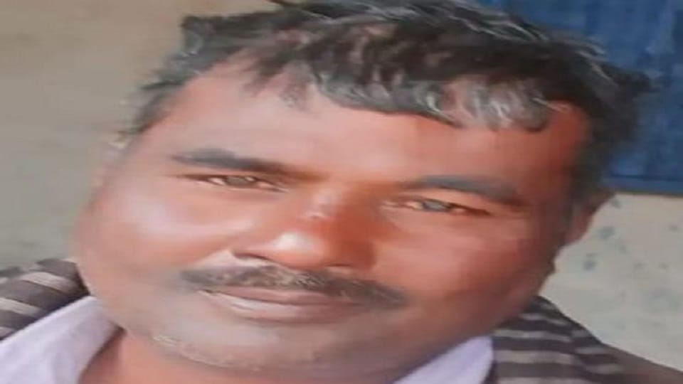 Farmer dies due to vehicle collision