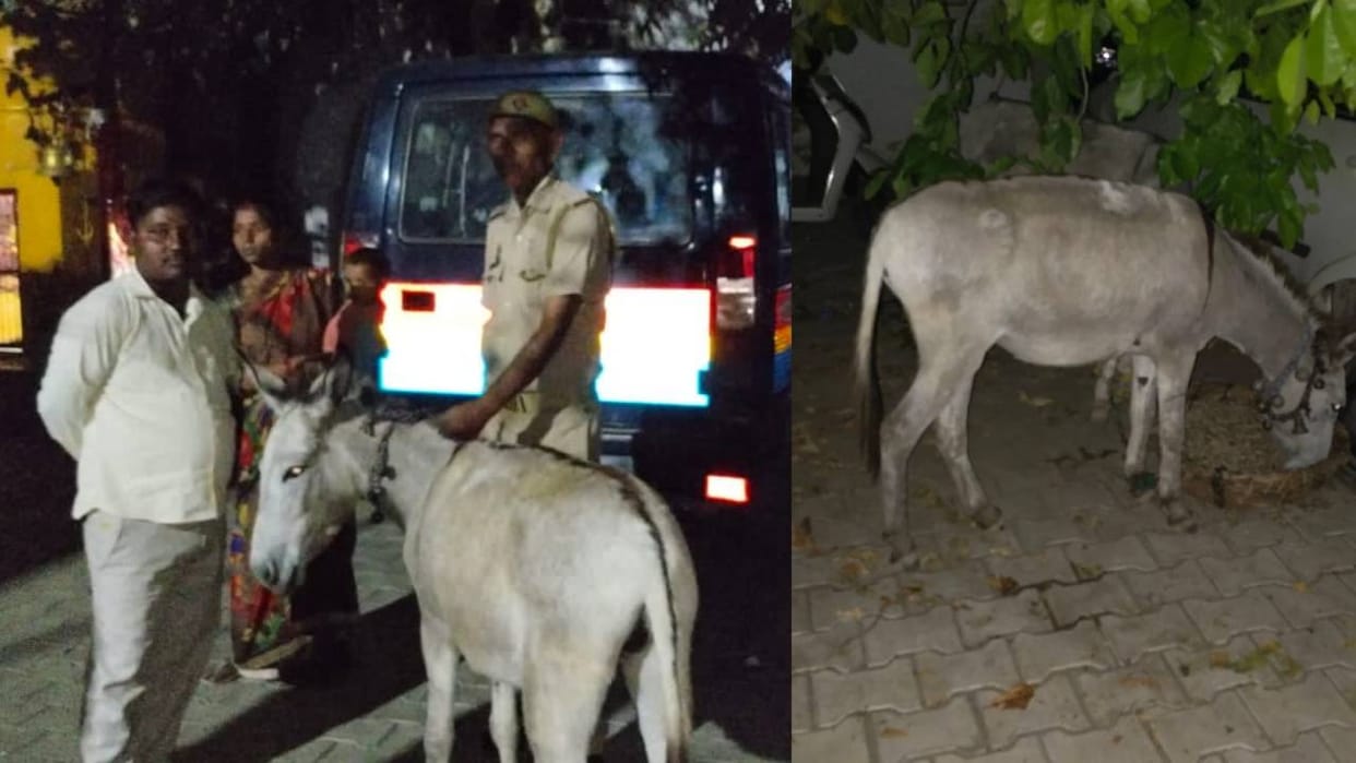 Two parties created ruckus in thana for lost donkeys in Agra Police took decision through Panchayat
