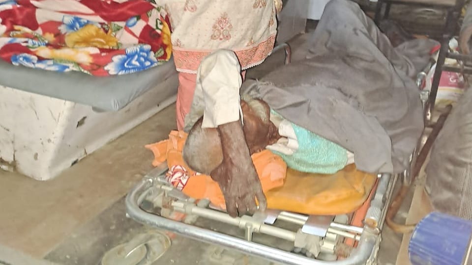 Amroha: vehicle devotees going take bath Ganga overturned, 15 people injured, taken to hospital