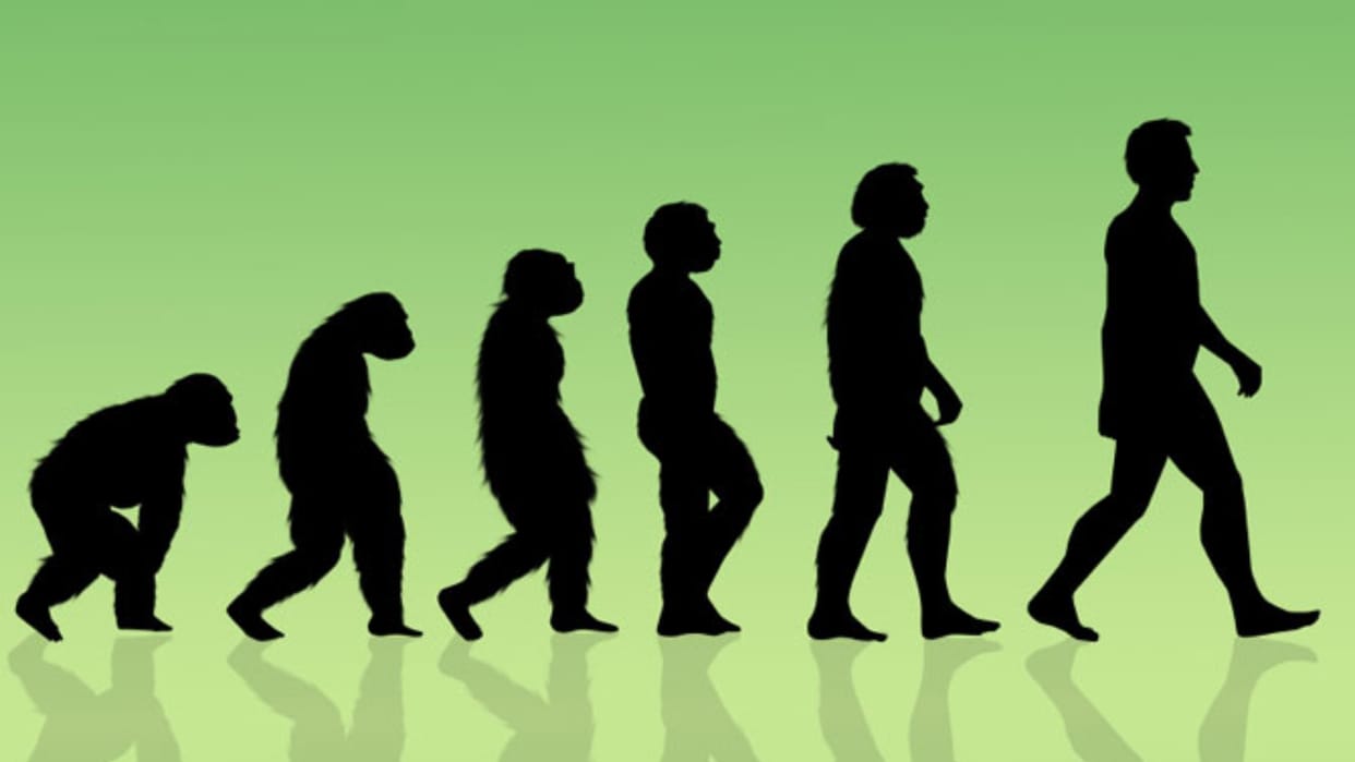 Research: Humans evolved from monkeys due to small cellular nervous system changes