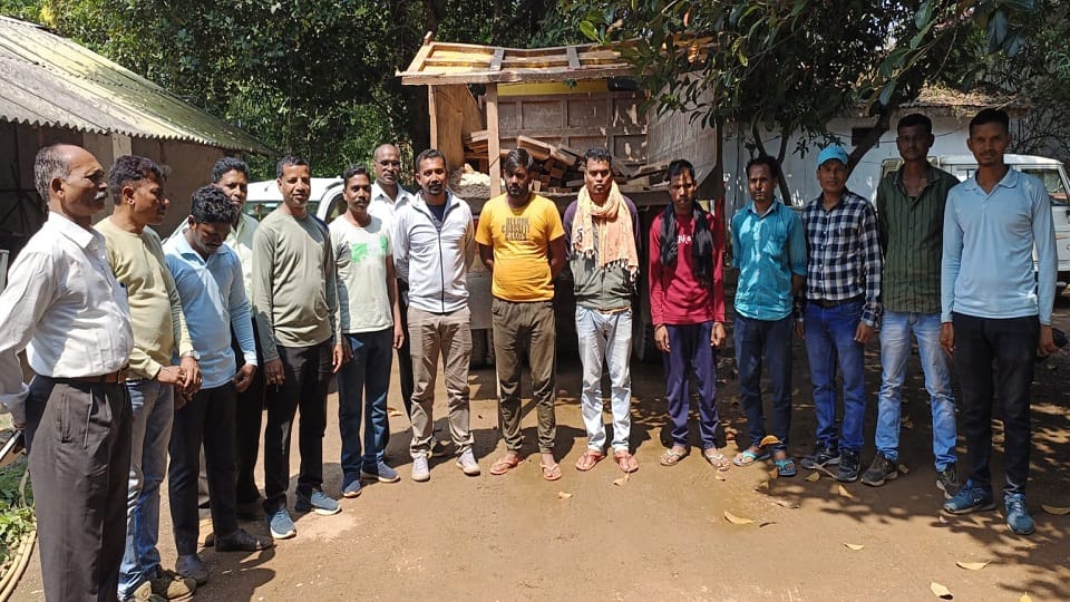 Teak worth lakhs was being extracted in the dark of night in Narayanpur
