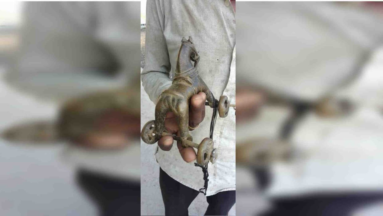 Golden horse got entangled in the net of a young man who went fishing in Damoh