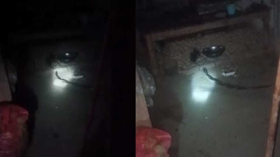 man kills Naag Nagin while romance in the house in budaun