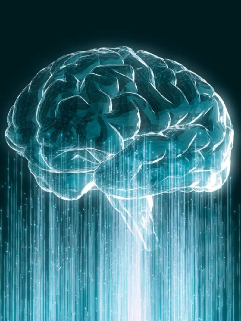 UP: Children of class six to eight will study coding and AI