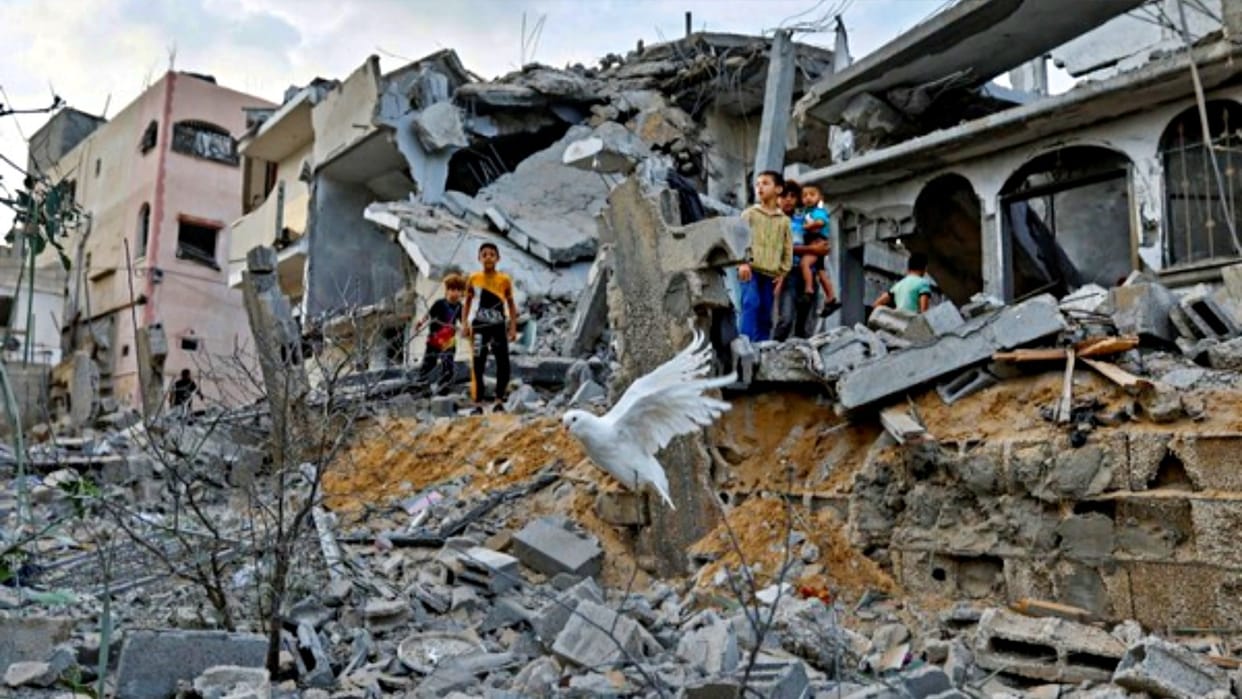 Israel War Please save Gaza I beg United Nations agency for Palestine refugees