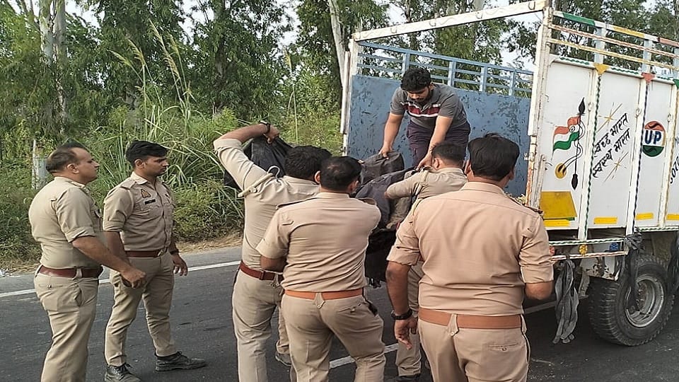 Amroha: Truck hits father and son riding bike in Gajraula, both die on the spot, daughter injured