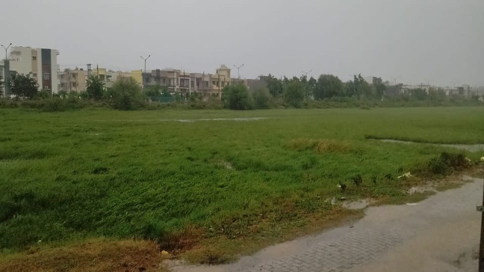 Weather patterns changed in Haryana drizzle in many districts Light hailstorm in Sirsa farmer concern increase