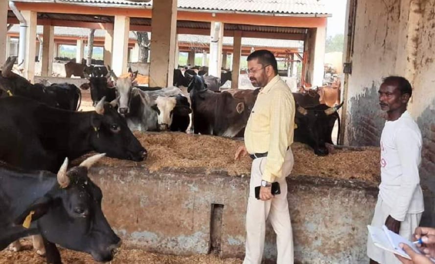 Moradabad: DM reached cowshed, animal extension officer suspended after seeing the disturbances