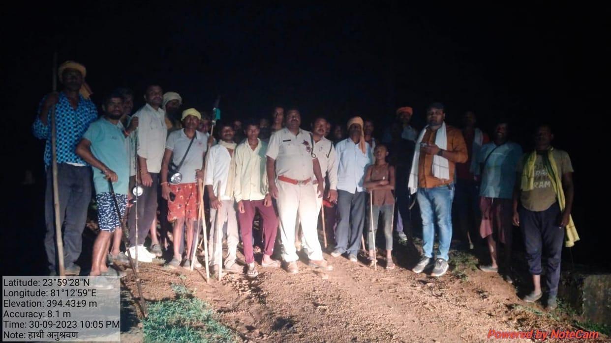 MP News: Herd of 40 elephants reached Beohari, panic among villagers, damaged farmers' crops