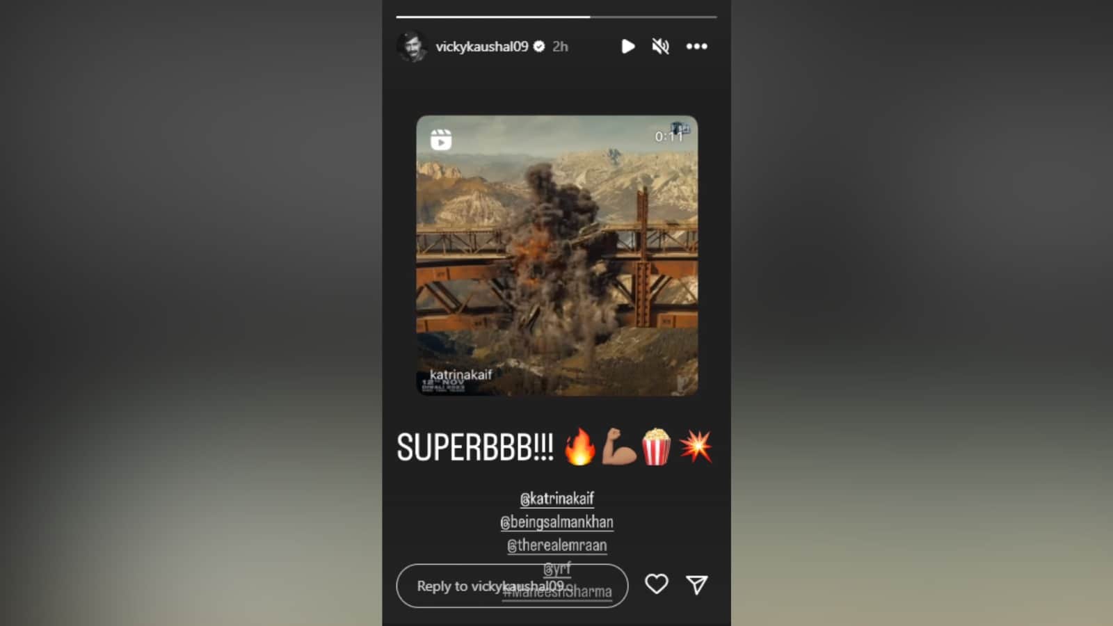 Vicky Kaushal reacts to wife Katrina Kaif and Salman Khan action packed Tiger 3 trailer details Inside