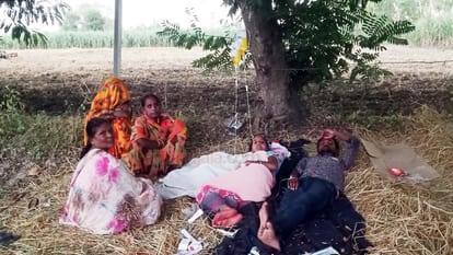 Fever patients are being treated by hanging glucose bottles on trees in Shahjahanpur