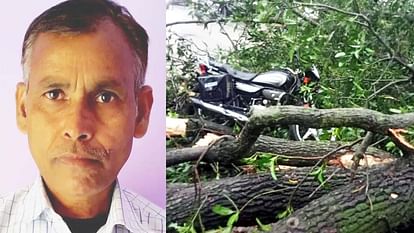 Pradhan dies due to falling of tree due to storm in shahjahanpur