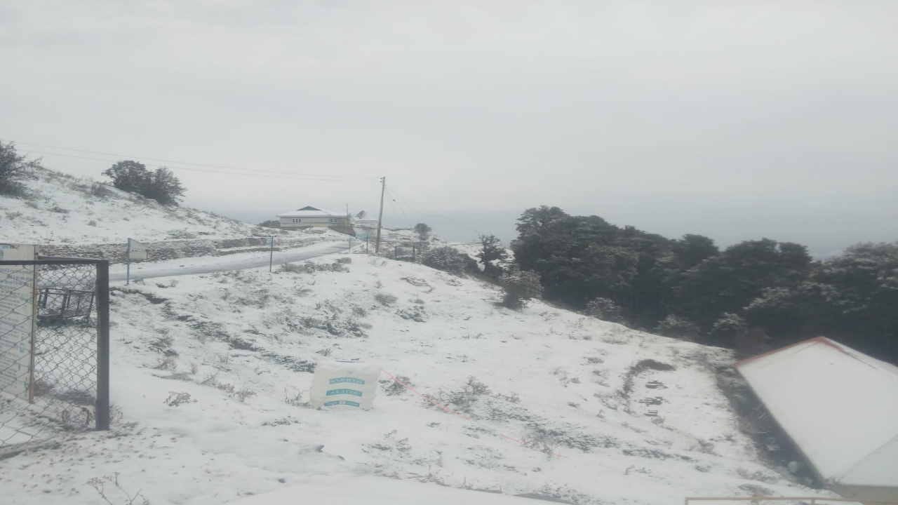 himachal weather: fresh snowfall in rohtang Pass, marhi, Narkanda Lakkad Mandi