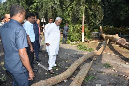 Bihar News: fallen tree on the road in Patna blocked the way for CM Nitish Kumar; Secretariat, storm and rain