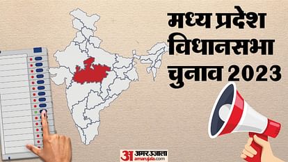 MP Election 2023: सरकारी दफ्तरों में दिखी रौनक, चलती रही चुनाव परिणाम की चर्चा MP Election 2023 There was excitement in government offices discussion about election results continued