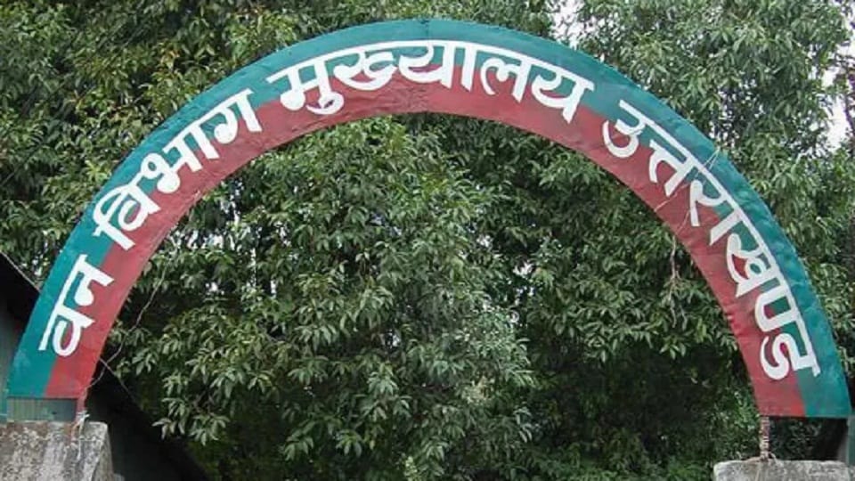 Forest Department removed 19 outsourced works in haldwani