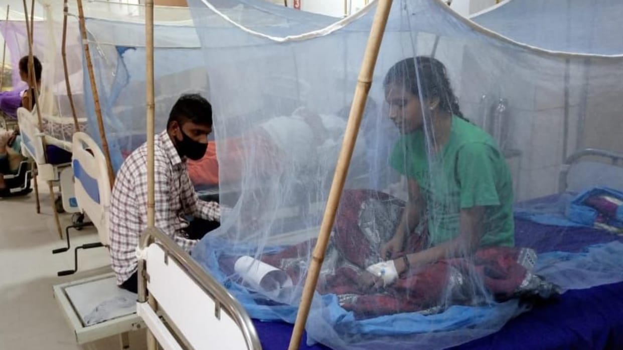 Dengue cases in lucknow 36 New Dengue Patients Found