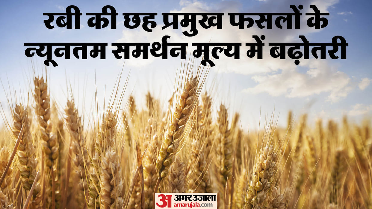 MSP Hike of these six Rabi crops, the government gave big political message to farmers from North to South