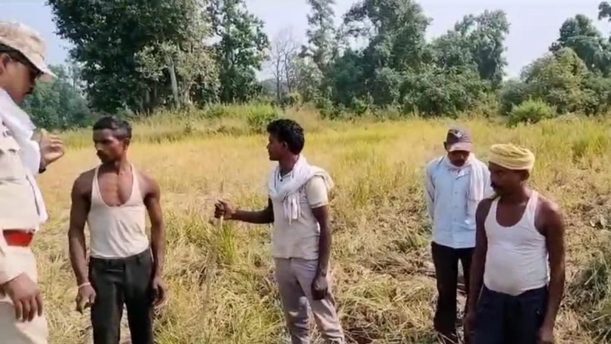Shahdol News Wild elephants damage crops villagers spend night in terror
