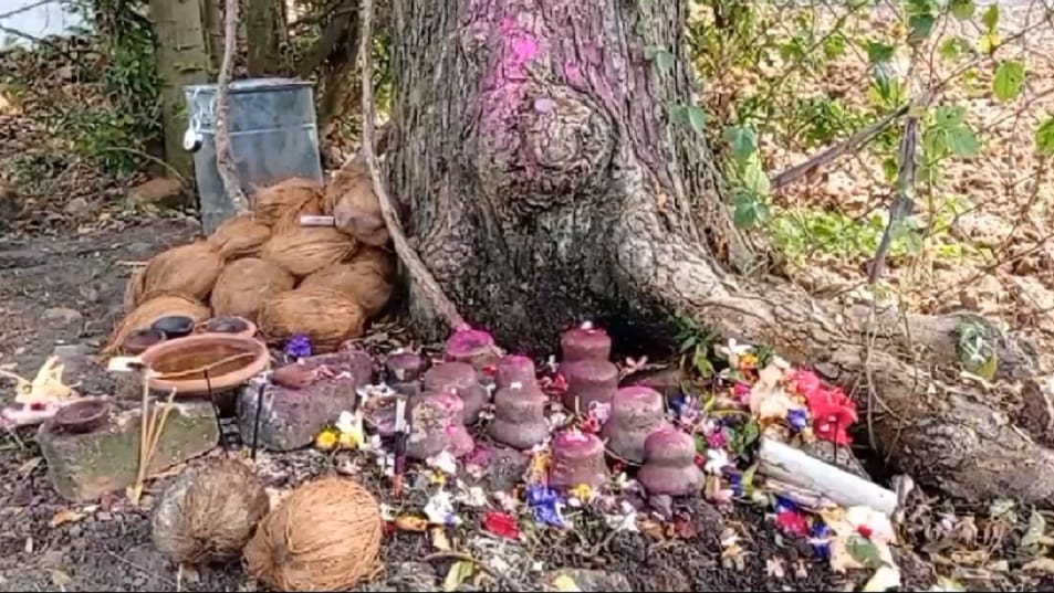 12 Shivalingas found during digging of land in Balod