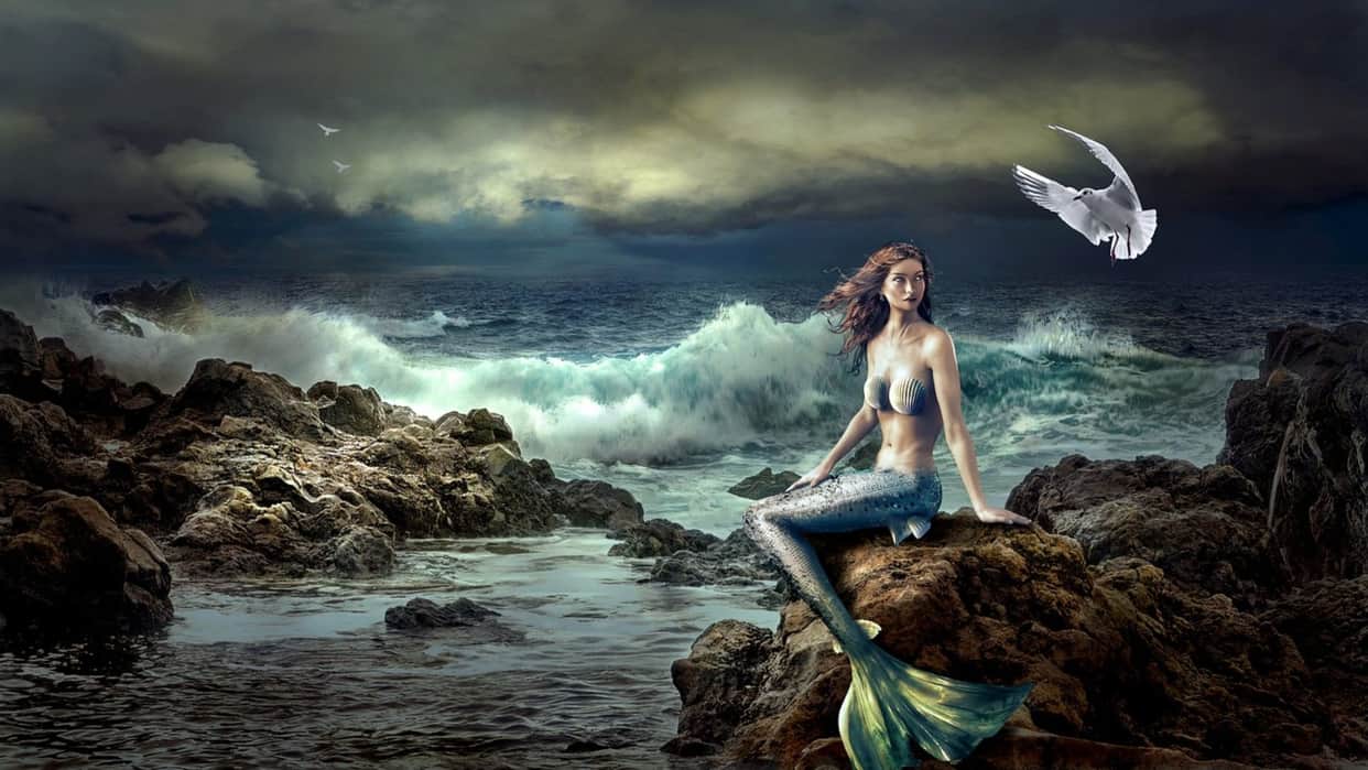 ajab gajab do mermaid exist are mermaids real know the truth knowledge news