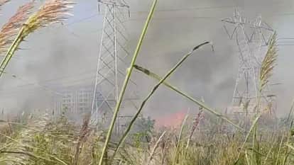 जंगलों में शॉर्ट सर्किट से लगी भीषण आग