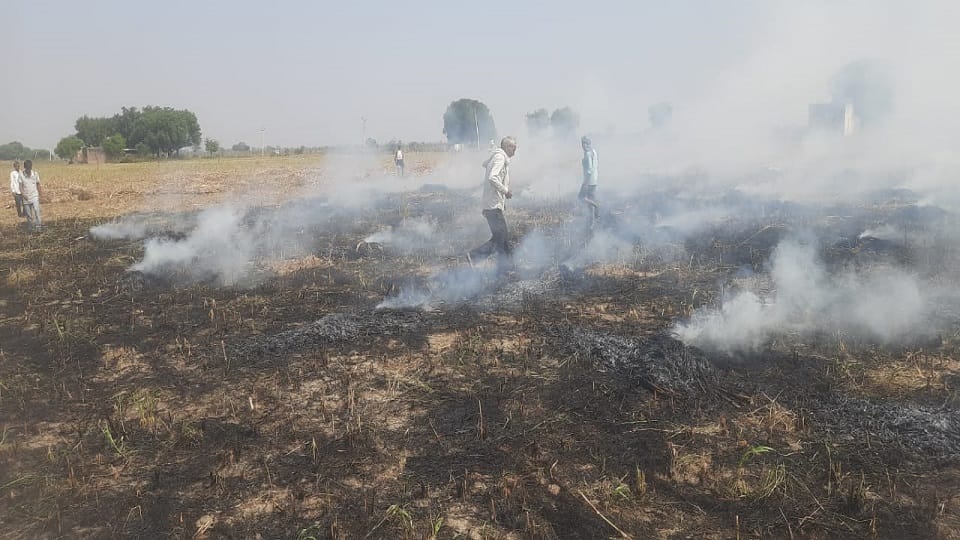 Fire broke out in millet field crop burnt farmer cried bitterly