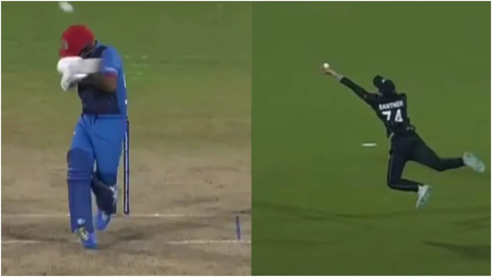 ODI WC 2023: From Lokesh Rahul to Santner and Warner, see the amazing catches of ODI World Cup 2023