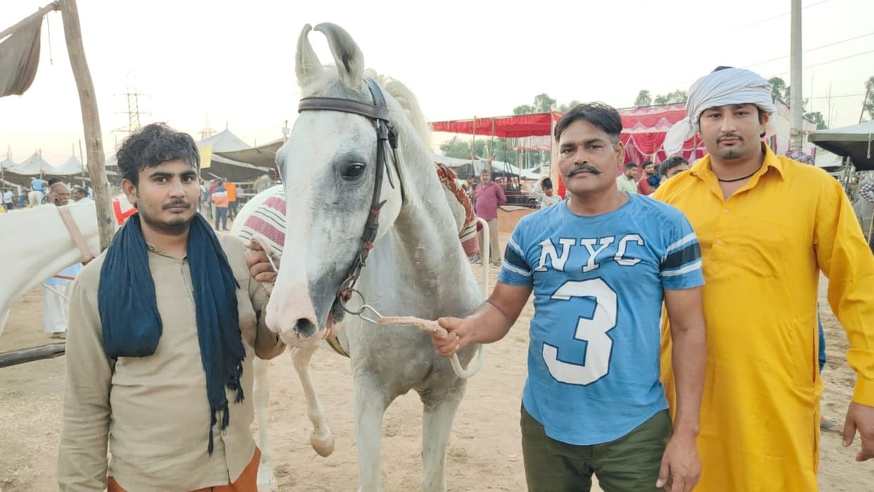 Chameli, a mare costing more than a luxury car became center of attraction in Beri Fair