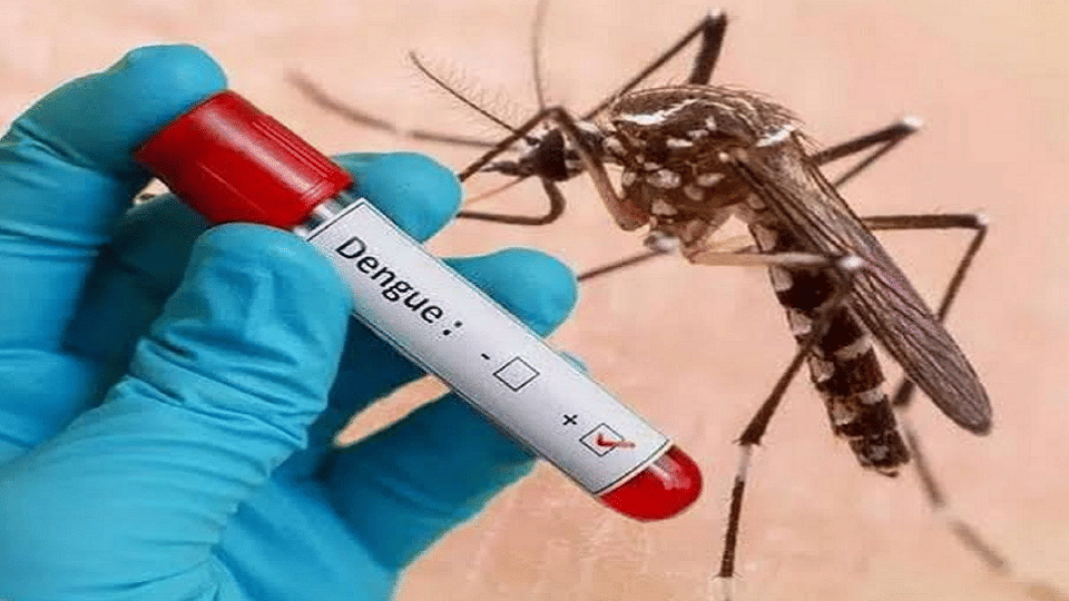 Number of dengue patients crossed 10 thousand in Punjab