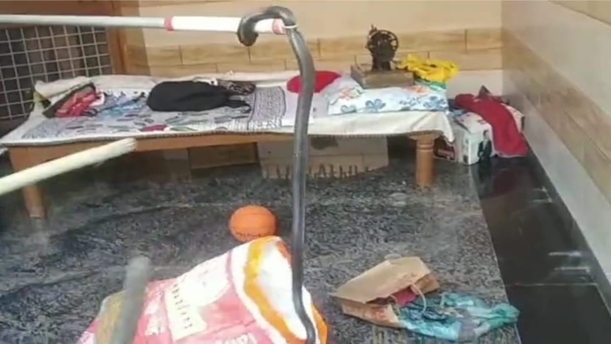 Snake was found in house of retired inspector in Meerut, forest department team caught it after two hours