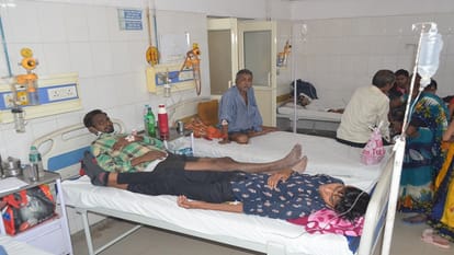19 new dengue patients reported in bareilly