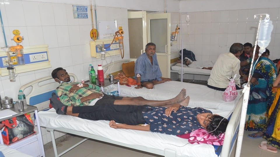 19 new dengue patients reported in bareilly