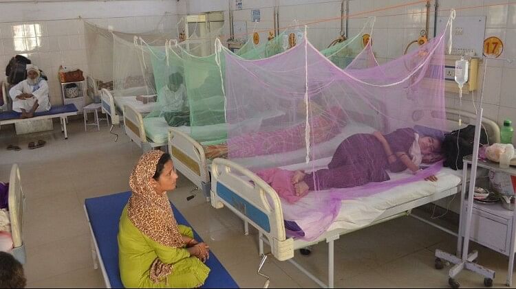 Dengue out of control in Bareilly 550 patients found so far