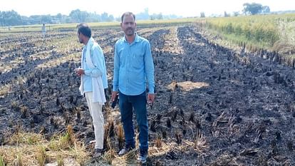 fine of fifteen thousand imposed on six farmers who burnt stubble in Mainpuri