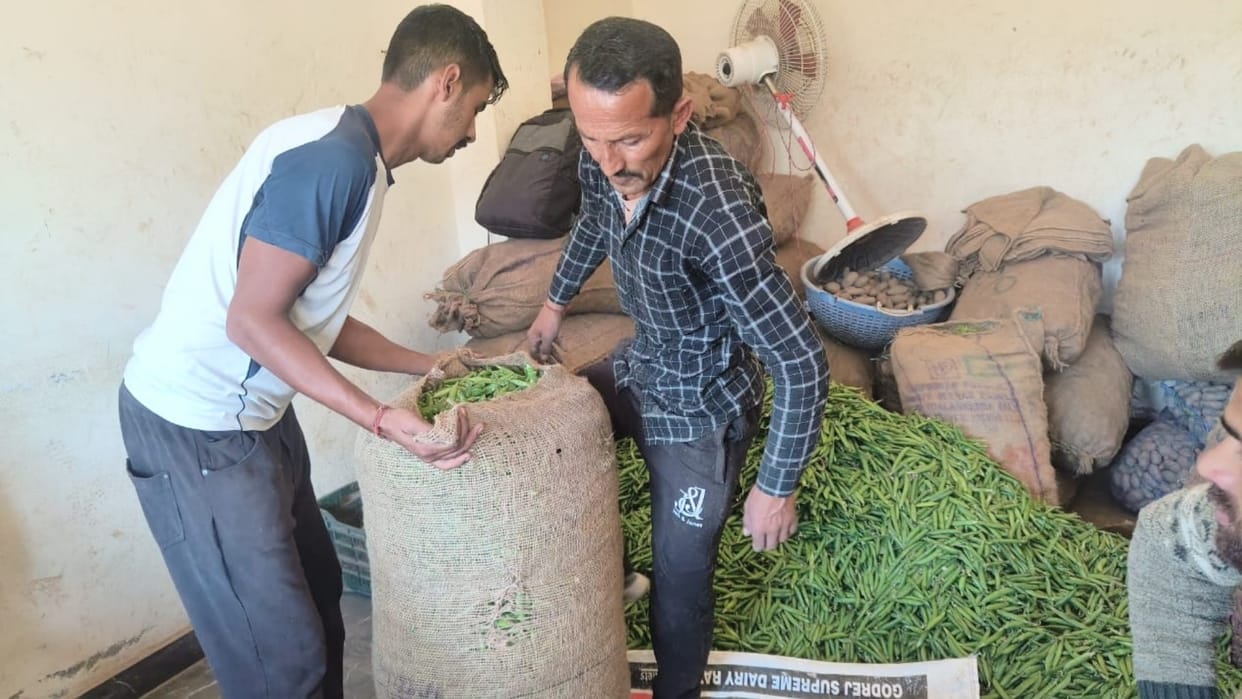 peas price 160 rupees per kilogram in Nahan Market Sirmour Himachal Pradesh