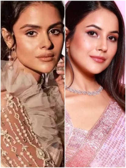 शहनाज कौर गिल