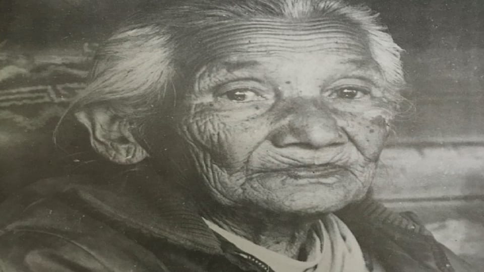 Tulsi Devi is an example in the field of entrepreneurship