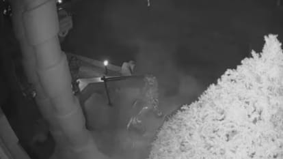 US restaurant claims ghost set off its motion detector alarms