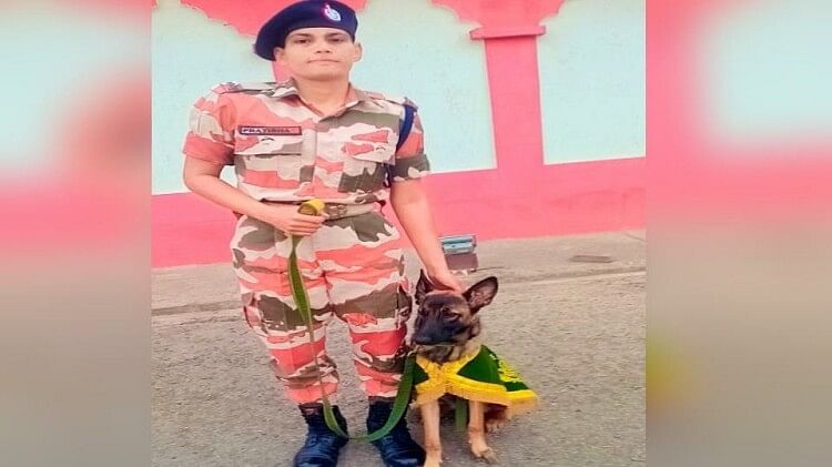 Bareilly dog handler Pratibha is training sniffer dogs for the ITBP