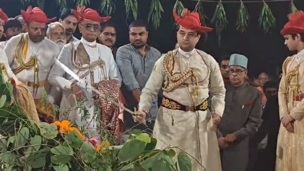 Dussehra: Scindia's royal Shami worship, seen in royal attire with a sword, competition to loot Shami leaves