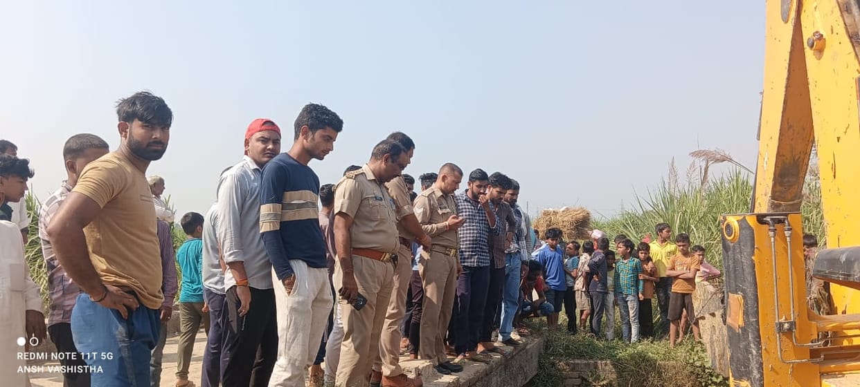 West UP News Live: Uproar over discovery of cow remains in Meerut, 13 engineers in PVVNL shifted
