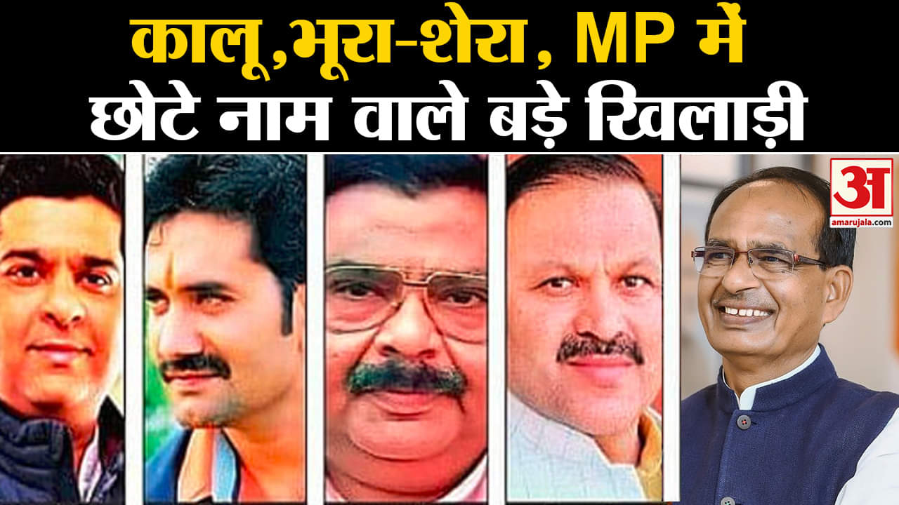 मध्यप्रदेश चुनाव