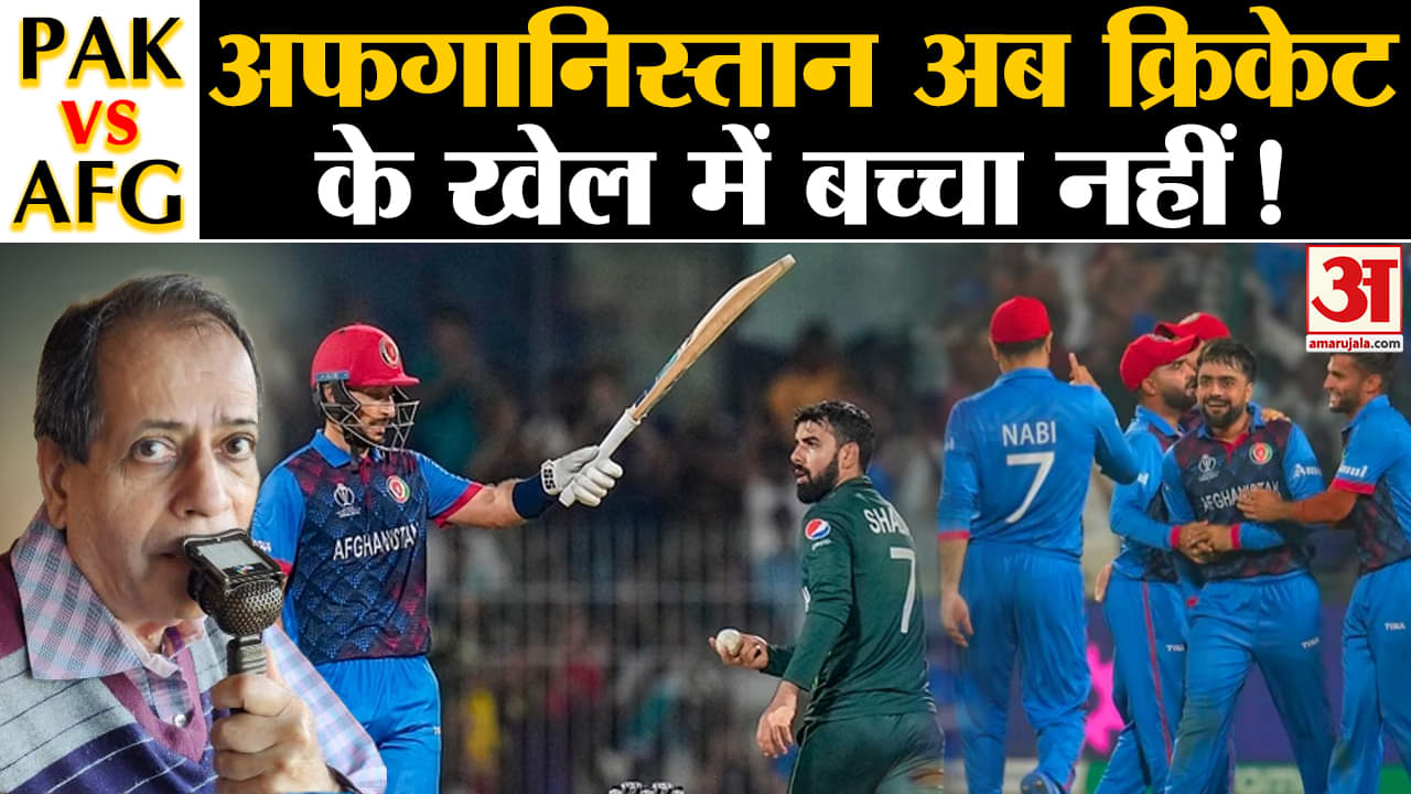 क्रिकेट