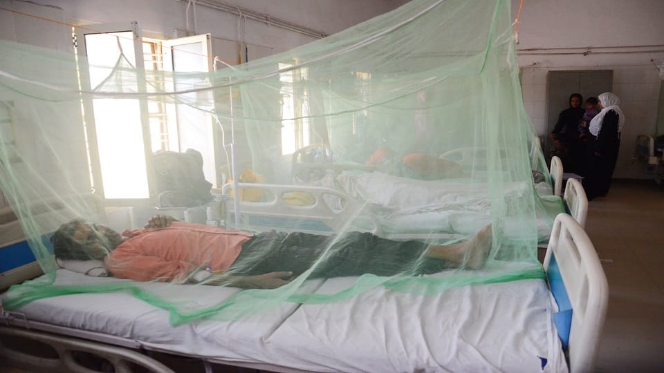 23 new dengue patients found in Bareilly