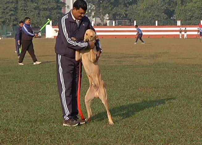 MCD will hand over the first pet park built in Jangpura to private hands.