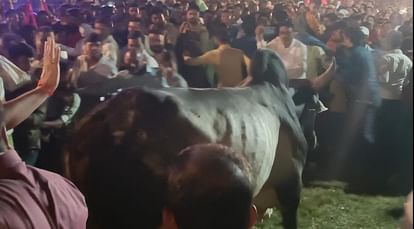 रावण दहन के दौरान ये क्या हो गया: राम की पूजा कर रहे थे केंद्रीय मंत्री, मेले में घुसा साड़; मची भगदड़ Chandauli News: Union Minister was worshiping Ram before burning Ravana, bull entered the fair